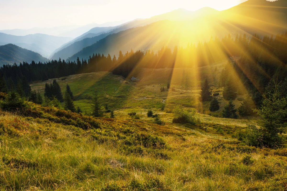 Mastering Etsy Product Photography: Lighting and Composition for Handmade Sales