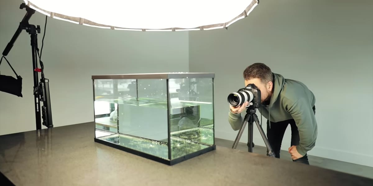 Aperture wireless lights positioned on either side of the fish tank
